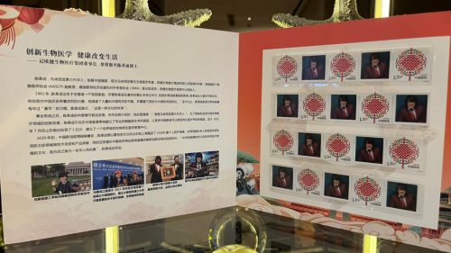 WhatsApp-Image-2025-11-11-at-